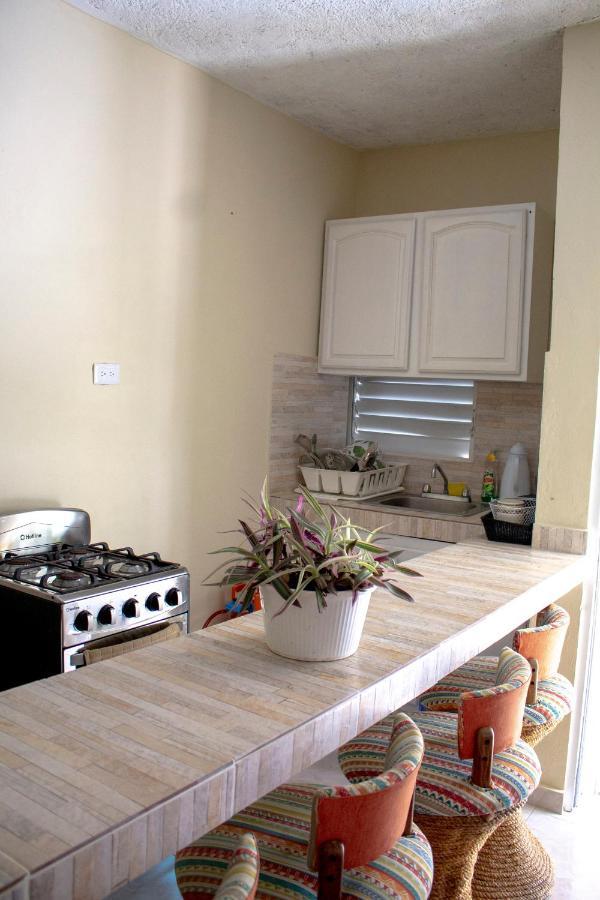 Complejo Villa Las Palmeras Piscina, Billar, Jardin, Bbq @Drvacationsrental Samana Экстерьер фото